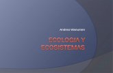 Gestión Ambiental y de producción - Andrea Wanumenelectivaycontexto.wdfiles.com/local--files/ambiental/Ecologia.pdf · Dependen del ambiente exterior para ... con el descubrimiento