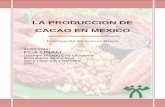 LA PRODUCCION DE CACAO EN MEXICO - · PDF filees de 61,593, la cosechada 60,335 mientras que la producción obtenida (Ton) es de 9,807. Es importante enfocarnos en estos estados ya