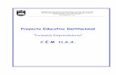 Proyecto Educativo Institucional - San Joaquín Educaciónsanjoaquineduca.cl/wp-content/uploads/2013/07/2.PEI-Liceo-HAA.pdf · - INACAP - Centros de ... desarrollo de competencias