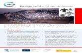 Tortuga Laúd en el mar de Alborán - iucn.org · PDF fileel Mediterráneo pero es la segunda especie de tortuga marina más habitual en todo el litoral de Alborán, siendo relativamente