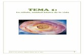 TEMA 1 (4 del libro): La célula - Biología 4º E.S.O. 1: La célula, unidad básica de la vida 5 Los lípidos Son moléculas más pequeñas que las proteínas y los ácidos nucleicos.