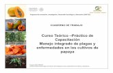 Presentación de PowerPoint - · PDF fileCurso Teórico –Práctico de Capacitación Manejo integrado de plagas y enfermedades en los cultivos de papaya. Proyecto 2014 PIDETEC «PRODUCCION