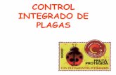 CONTROL INTEGRADO DE PLAGAS - · PDF fileAplicación al Manejo Integrado de Plagas mediante el método de grados-día. Al igual que otros organismos vivos, los insectos son capaces