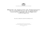 Método de detección de distorsiones de la arquitectura de ... · PDF fileI Método de detección de distorsiones de la arquitectura de la glándula mamaria a partir de imágenes