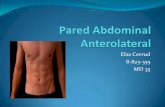Elsa Cerrud 8-823-355 MD 35 -  · PDF fileAbdomen Fascia Transversalis Peritoneo . Músculos de la pared abdominal anterolateral M. Recto del abdomen M. Oblicuo Externo M.