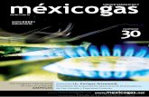 año 06 // núm 30 - La Revista de la Industria del Gas L.P. en · PDF fileLa Revista de la Industria del Gas L.P. Editorial: Con nuestro número 30 cumplimos cinco años en circulación,