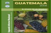 Ministerio de Agricultura Ganadería y Alimentación ... · PDF file7 Índice de Figuras Figura 1. Mapa de división político administrativa de Guatemala. ..... 12 Figura 2. Mapa