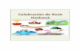 Celebración de Rosh Hashaná - okbns.orgokbns.org/pdf/Celebracion de Rosh Hashana.pdf · Rosh Hashaná es un tiempo para que desarrollemos nuestra relación con el Todopoderoso.