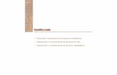 Castilla y León - Ministerio de Fomento · PDF fileMapa topográfico de Castilla y León a escala 10.000 (MAPACyL10) Base ... Mental Base de datos Temática Continuamente Vectorial