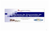 “Programa de Promoción de Exportación de Servicios” · PDF fileExportaciones mundiales de mercancías y servicios comerciales, ... Empresa de Servicios ... Cesión temporal de