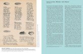 Santa Comida. miralda i John mason - macba. · PDF fileJo redactaria els textos del catàleg, aportant una visió antropològica i historicoartística. I, com a autèntics caçadors