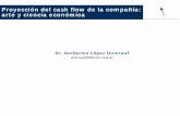 Proyección del cash flow de la compañía: arte y ciencia ... · PDF fileCapital cash flow: flujo de efectivo total que se distribuye entre los inversores de la firma (accionistas