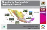 Dinámica de Cambio de la Cobertura Forestal · PDF fileMéxico, D.F. Octubre 2011 Gerencia de Inventario Forestal y Geomática Selvas en Chiapas Bosques en Michoacán Dinámica de