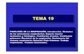 TEMA 19TEMA 19 - ugr.esramirezr/Templates/FISIOLOGIA6.pdf · TEMA 19TEMA 19 FISIOLOGIA DE LA RESPIRACIÓNFISIOLOGIA DE LA RESPIRACIÓN FISIOLOGÍA DE LA RESPIRACIÓN. Introducción.