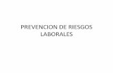 PREVENCION DE RIESGOS LABORALES - …ipap.chaco.gov.ar/uploads/publicacion/8cf744f6550042bd44d0599c659… · SITUACIONES DE TRABAJO ACCIONES ... trabajador lesionado va contra el