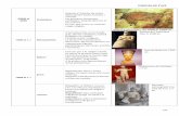 història de l'art - xtec.categomez17/esquemes/historiaArt.pdf · El canceller Séguier de Charles Le Brun, 1661. s. XVII al s. XVIII ... Naturalisme Reflecteixen la dura vida dels