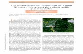 Los microfósiles del Prepirineo de Arguis (Huesca): breve ...wzar.unizar.es/perso/emolina/pdf/Molina2013NaturalezaAragonesa.pdf · lameracensis, Biradiolites osensis, Radiolitella
