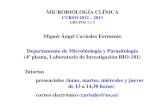 MICROBIOLOGÍA CLÍNICA - asignatura.us.esasignatura.us.es/mbclinica/docs/recursos/12/presentacion-mbclinica... · Departamento de Microbiología y Parasitología (4ª planta, ...