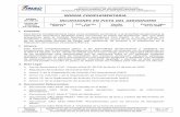 NORMA COMPLEMENTARIA INCURSIONES EN PISTA · PDF fileinstituto nacional de aeronÁutica civil gerencia general de seguridad aeronÁutica gerencia de certificaciones de infraestructura