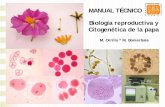 MANUAL TÉCNICO Biología reproductiva y Citogenética de · PDF file789 456 123 Cantidad (número total de tubos polínicos en el estilo-ovario) Valor combinado del nivel y cantidad
