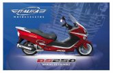 11 - italika.com.mxitalika.com.mx/Descargas/files/2007/manuales/bs250.pdf · estiMado ProPietario: Gracias por la confianza al haber elegido una motocicleta ITALIKA. Tu nueva motocicleta
