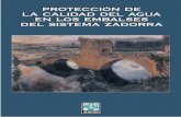PROTECCIÓN DE LA CALIDAD DEL AGUA EN LOS ... Directrices de Ordenación del Territorio del País Vasco DQO Demanda Química de Oxígeno EAPV Estatuto de Autonomía del País Vasco