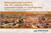 Marginalización de la agricultura campesina e indí · PDF file · 2015-07-103.3 Para los los campesinos de subsistencia y pueblos indígenas ... respuestas al desarrollismo en crisis