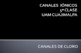 CANALES IÓNICOS 5ª CLASE UAM CUAJIMALPA · PDF fileCLORO: El anión mas abundante fisiológicamente CANALES DE CLORO Permeables a muchos aniones pequeños (Br-, I-, NO3-, HCO3-)
