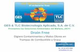 Proveemos las Soluciones Ambientales del Mañana, ¡HOY ...ges-tlc.com/product_present/drain-free-sol-biol-trampas de... · GES & TLC Biotecnología Aplicada, S.A. de C.V. ... •