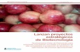 Lanzan proyectos estratégicos de Biotecnologíaargentinambiental.com/wp-content/uploads/pdf/AA81-42-Lanzan... · de Biotecnología Se presentaron ... mita crear un manual de buenas