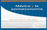 MÉXICO Y LA SOCIOECONOMÍA - aliat.org.mx · PDF fileMapa conceptual ... estabilidad económica para el crecimiento y desarrollo económico del Estado, pues traen consigo el bienestar