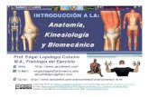 Anatomía, a, Kinesiología a y Biomecánica - · PDF fileEstructural (Anatomía Aplicada) Mecánica (Biomecánica) Análisis Oseo-Muscular. y Articular. Relación con la. Ciencia