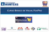 CURSO BÁSICODE VISUAL FOXP - Professional Hunters BASICO.pdf · constantes,condicionales,ciclos ... El participante adquirirá habilidades y conocimientos necesarios que ... Revisión