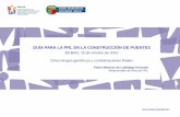 GUÍA PARA LA PRL EN LA CONSTRUCCIÓN DE · PDF fileconstructivas en la construcción de puentes y viaductos: siendo el núcleo duro de la Guía ... plataformas de trabajo para trabajos