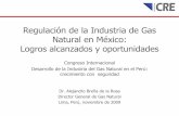 Regulación de la Industria de Gas Natural en México ...gasnatural.osinerg.gob.pe/contenidos/1_congreso_desarrollo_gas... · investigación, asociaciones profesionales, Pemex, CFE