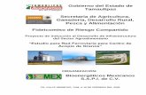 Gobierno del Estado de Tamaulipas - sagarpa.gob.mx consumidores de sorgo de la región. ... anuales, con lo que se determina una recuperación de la inversión del proyecto PPS en