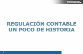 REGULACIÓN CONTABLE UN POCO DE HISTORIA · PDF fileLa Federación Internacional de Contadores (IFAC), fue creada en 1977 y su misión consiste en desarrollar y promover una profesión