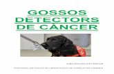 GOSSOS DETECTORS DE CÀNCER SEGURA GOLFERICHS. POSTGRAU EN EDUCACIO I MODIFICACIO DE CONDUCTES CANINES 2 INDEX: 1- Introducció 3 2- Gossos detectors de càncer a. Com detecten el