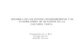 Dinámica de los puntos craneométricos y el cuadrilátero de ... · PDF fileDINAMICA DE LOS PUNTOS CRANEOMETRICOS Y EL CUADRILATERO DE KLAATSCH EN LA ... glabela-lambda (r=0,402),