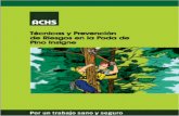 Técnicas y Prevención - · PDF fileTécnicas y Prevención de Riesgos en la Poda de Pino Insigne Preparado por: Eduardo Torres Girardi Ingeniero Forestal Experto en Prevención de