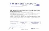 Kit de mutaciones del gen K-RAS de TheraScreen® · PDF fileEl Kit de K-RAS detecta siete mutaciones del gen K-RAS en los codones ... de muestras. Tabla 2: contenido del Kit de K-RAS