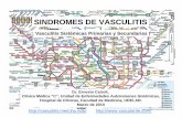 SINDROMES DE VASCULITIS - Unidad de Enfermedades ... · PDF fileVasculitis Sistémicas Primarias y Secundarias ... -Sindrome de Goodpasture-Escleritis, ... -Granulomatosis de Wegener
