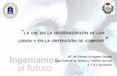 Presentación de PowerPoint - foroagrario.comforoagrario.com/BT/20110609/Cartagena.pdf · Caracterización de los LD CEDEX, CIEMAT, ... -Contaminantes orgánicos-Dioxinas ... •