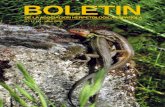 BOLETIN - Edizioni Danaus et al. 2006-Gastrointestinal... · BOLETIN DE LA ASOCIACION HERPETOLOGICA ESPAÑOLA ... Se detectaron cuatro especies de nematodos, ... Atlas of Amphibians