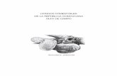 HONGOS COMESTIBLES DE LA REPÚBLICA · PDF file13 Notas sobre las especies presentadas 15 Introducción 19 Importancia ecológica de los hongos 25 Recomendaciones 27 Creencias ...