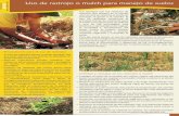 Uso de rastrojo o mulch para manejo de suelos A2-06ong-adg.be/bibliadg/bibliotheque/opac_css/doc_num/fiches... · y agua, PASOLAC, Nicaragua (2000). F. Eyhorn, M. Heeb, G. Weidmann.,