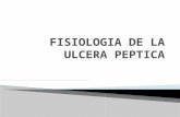 FISIOLOGIA DE LA ULCERA PEPTICA · PPT file · Web view · 2013-09-27definiciÓn: soluciÓn de continuidad de la mucosa que alcanza hasta la submucosa . problema mÉdico importante: