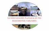 La intervención humana en los ecosistemas naturalesiesmontesobarenes.centros.educa.jcyl.es/sitio/upload/La...La predicción de malthus Thomas R. Malthus publicó Ensayo sobre la población,