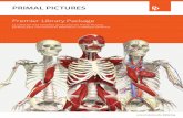 Premier Library Package - anatomy.tv Con más de 50 títulos, el paquete Premier Library Package abarca una gama completa de obras intuitivas y exactas en …