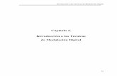 Capítulo 2. Introducción a las Técnicas de Modulación …catarina.udlap.mx/u_dl_a/tales/documentos/lem/alvarado_s_ja/... · Típicamente el objetivo de un sistema de comunicación